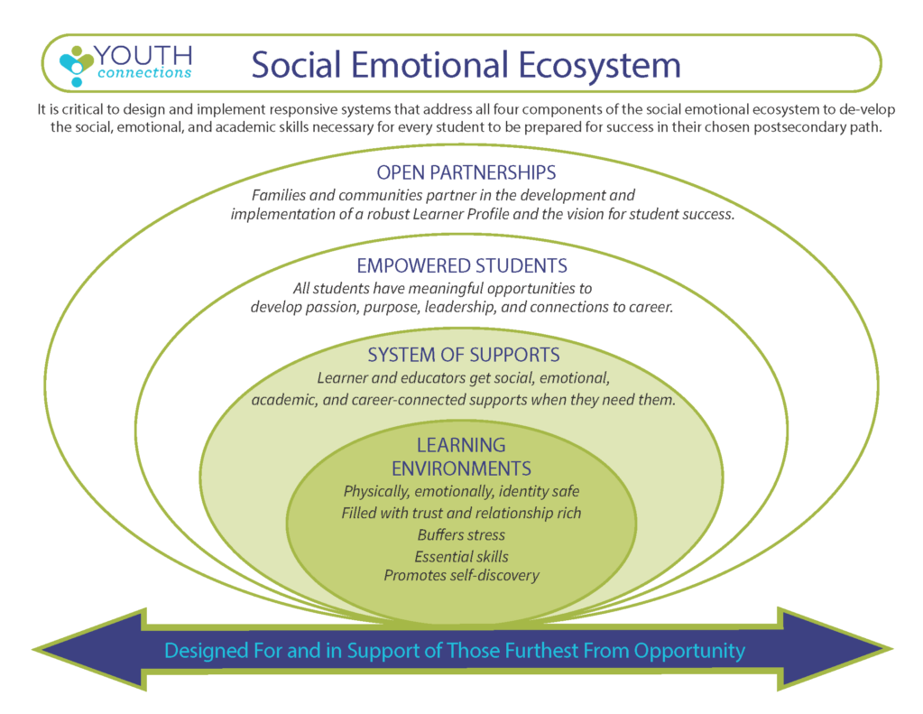 Social Emotional Development | The Colorado Education Initiative